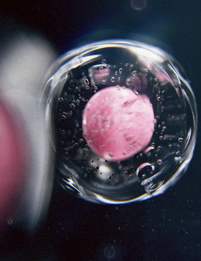 培养基、水凝胶、试剂盒