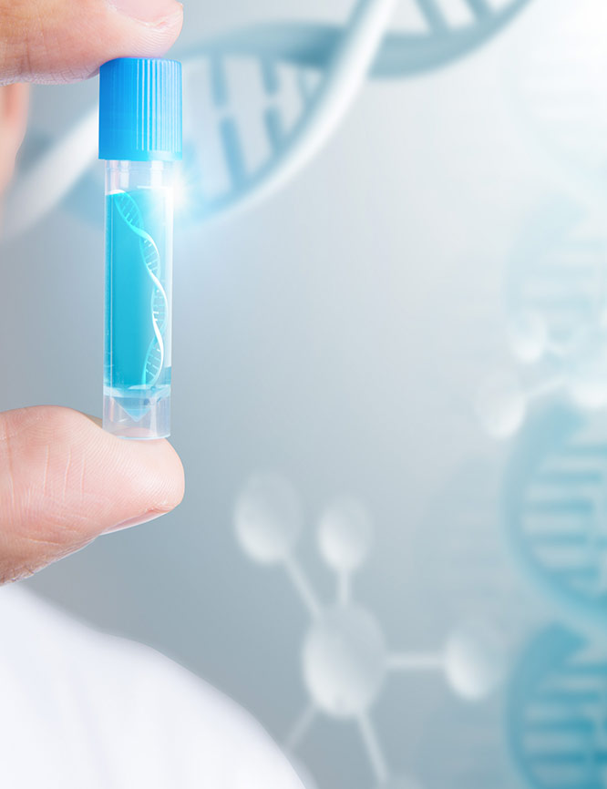 相关技术服务和解决方案